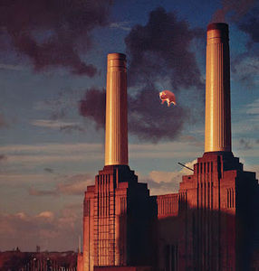 Meet your Posher, Dylan